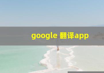 google 翻译app